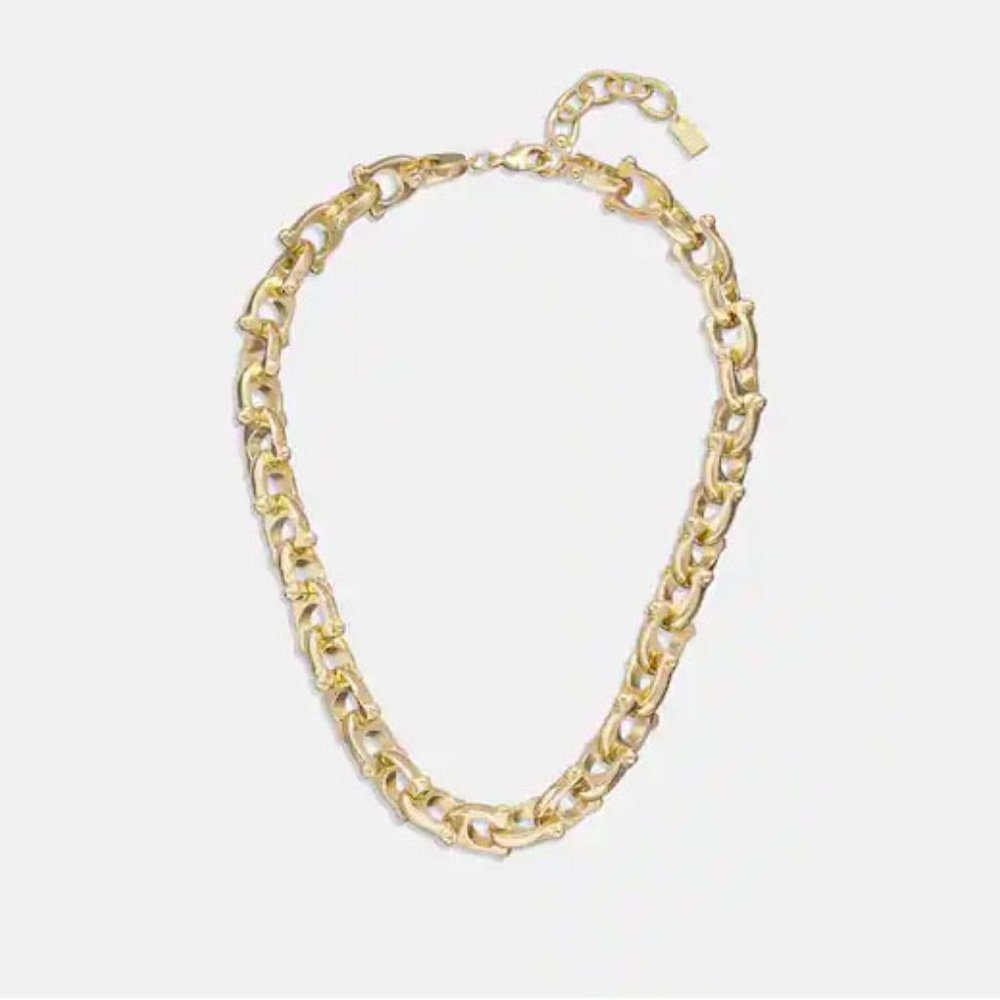 Coach Chunky Signature Chain Link Necklace - Picture 5 of 5